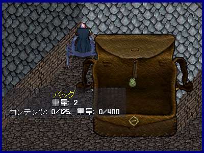 魔力抽出バッグと呼ばれていた袋